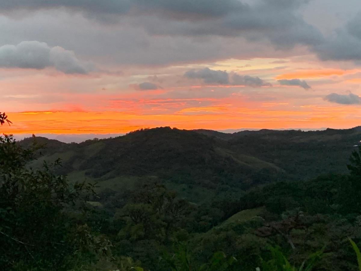 Globi Lodge #2 Monteverde Exteriör bild